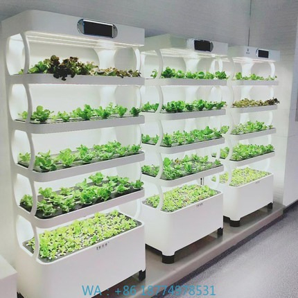 Diy Home Automation System - Hydrocultuur geautomatiseerd kweeksysteem Intelligent hydrocultuur kweeksysteem