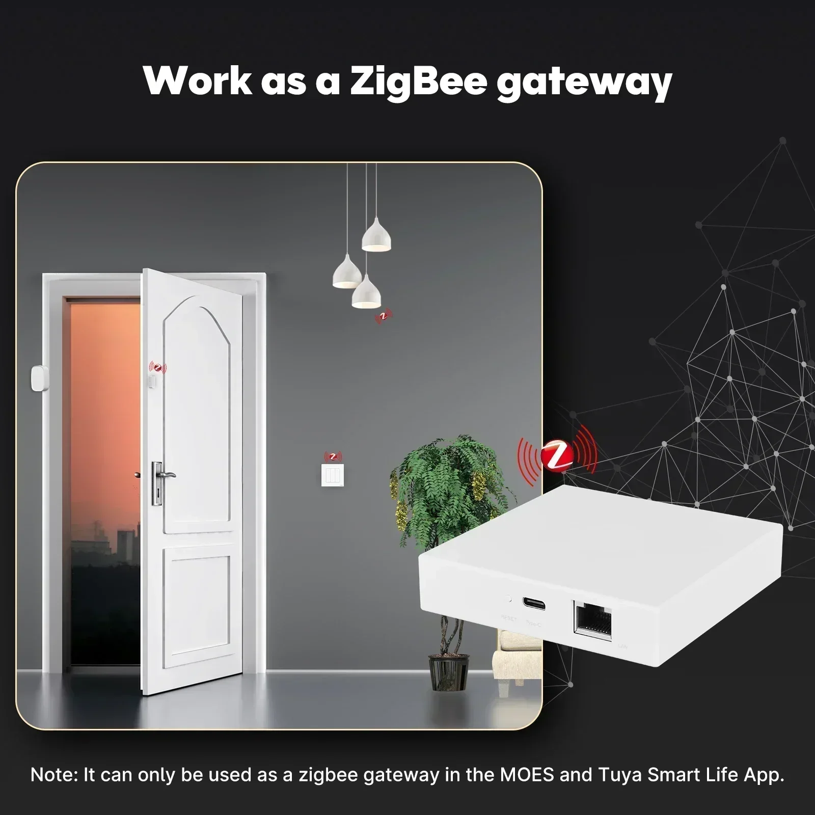 MOES Tuya Zigbee Matter Thread - Matter Hub Thread recensie en prijs