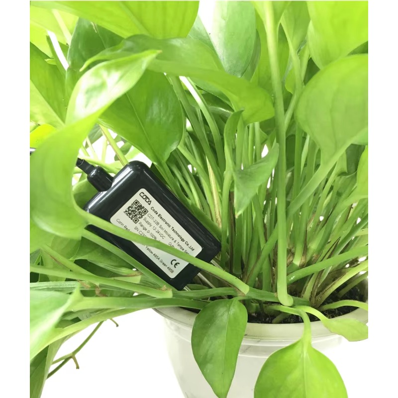 RS485 4-20mA draagbare bodemvo - Temperature Humidity Sensor recensie en prijs