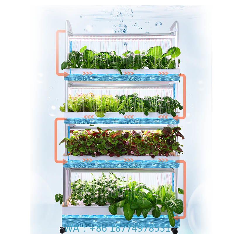 ydroponic plantsysteem Smart H - Diy Home Automation System recensie en prijs