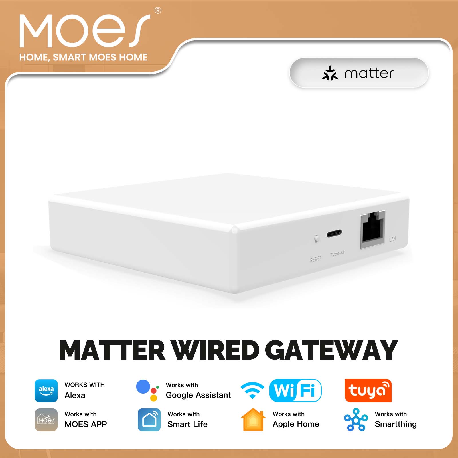 MOES Tuya ZigBee Matter Thread - Matter Hub Thread recensie en prijs